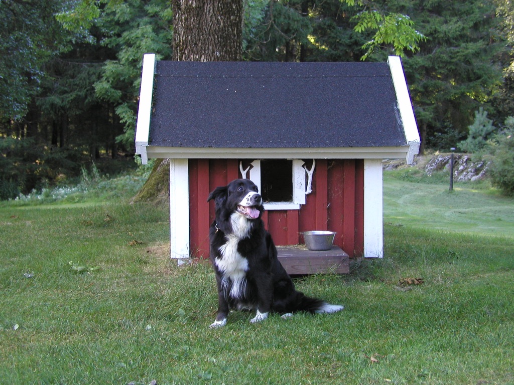 Hund vor dem roten Schwedenhäuschen in Grannelia