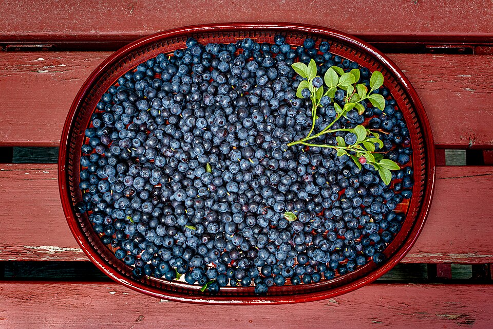 Blaubeeren